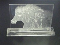 Etched Acrylic horse
