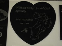 Best Altered Award - Midwest Cocker Spaniel Club